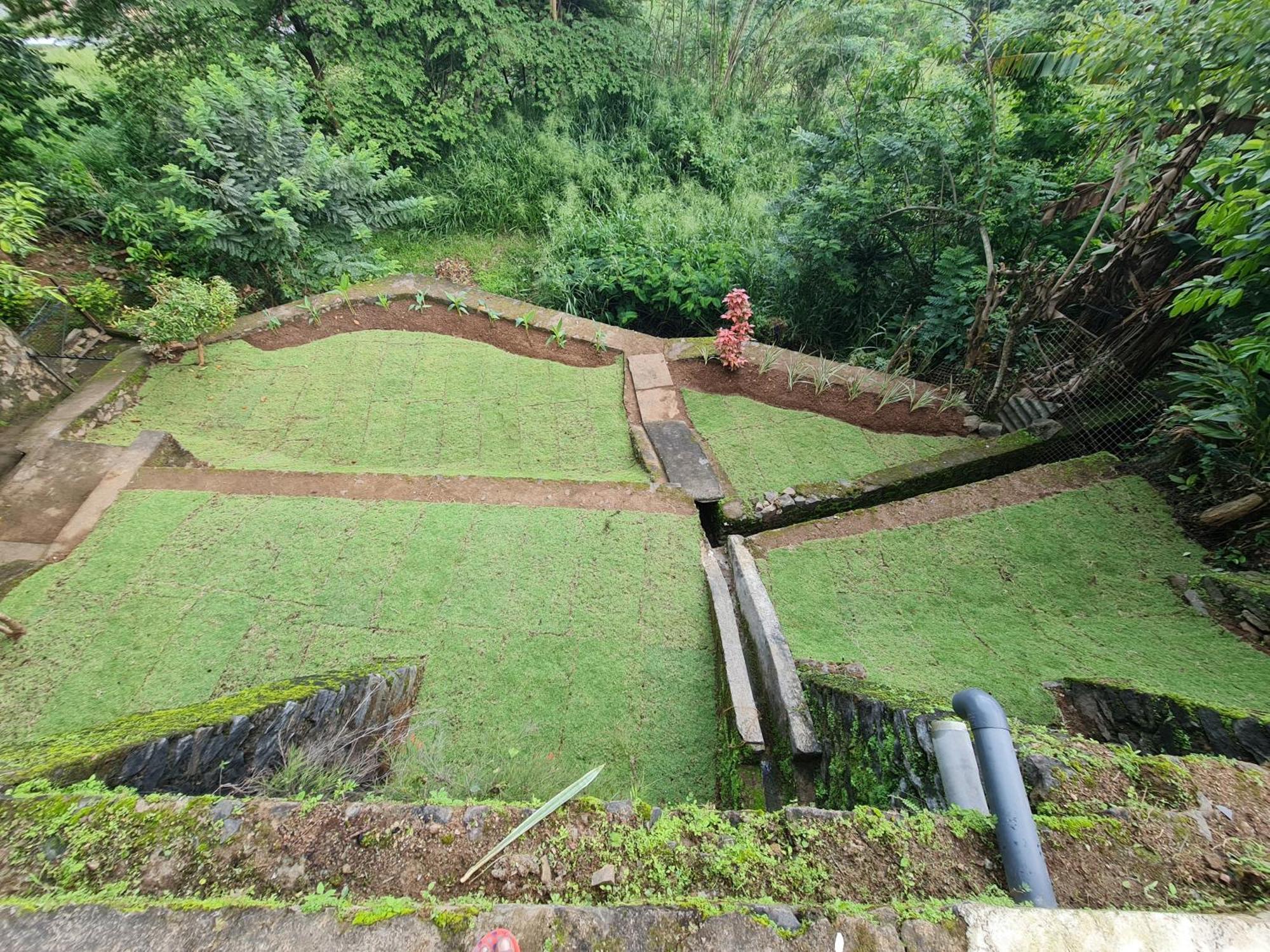 Hello Kandy Homestay Extérieur photo