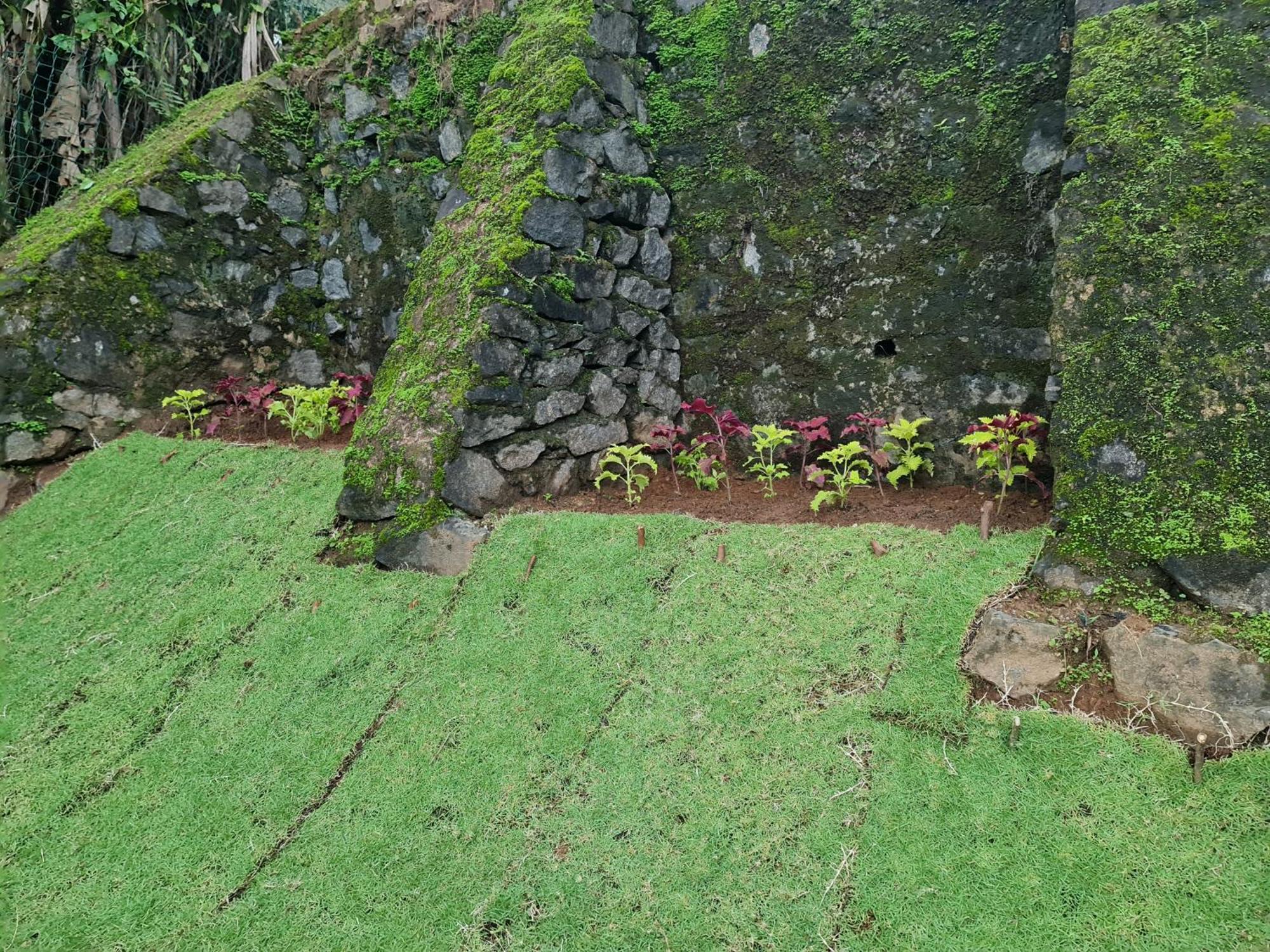 Hello Kandy Homestay Extérieur photo