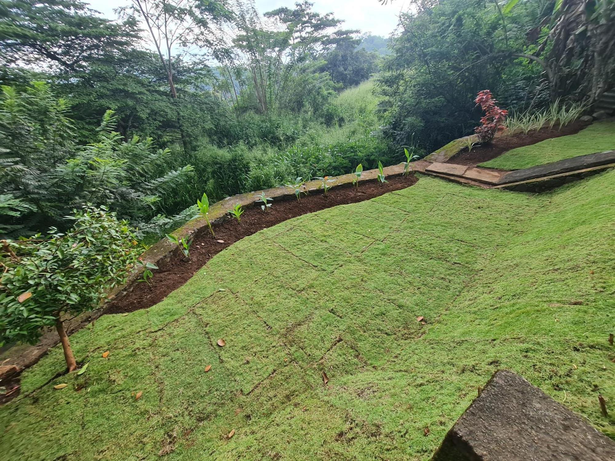 Hello Kandy Homestay Extérieur photo